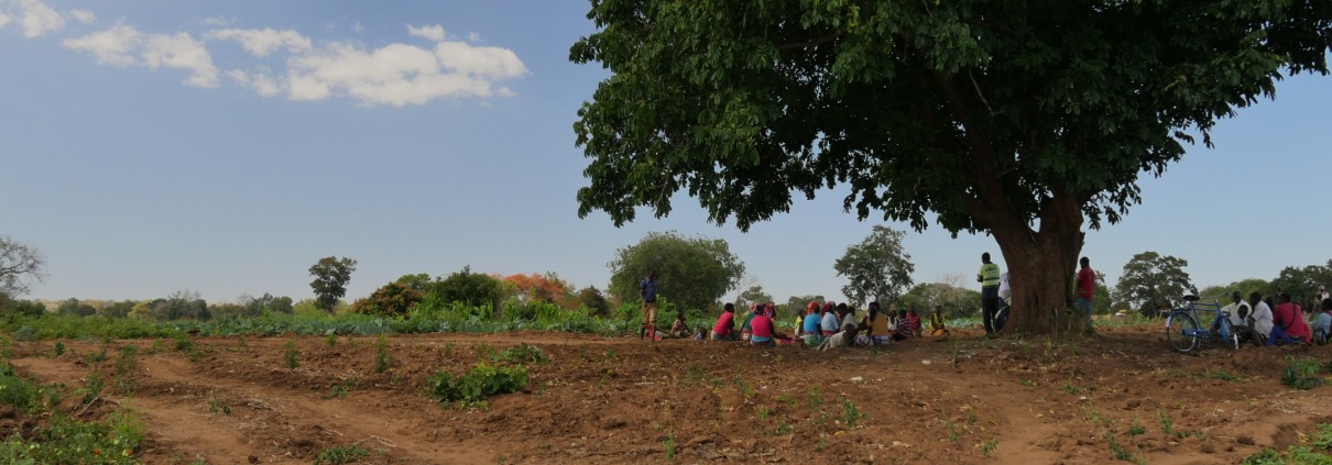 agricultura regenerativa