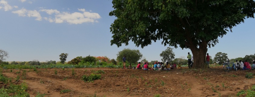 agricultura regenerativa