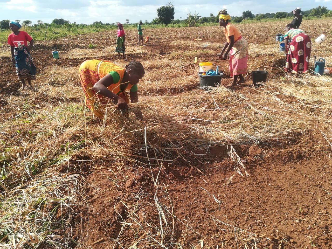 Agricultoras_Campo_AzadaVerde
