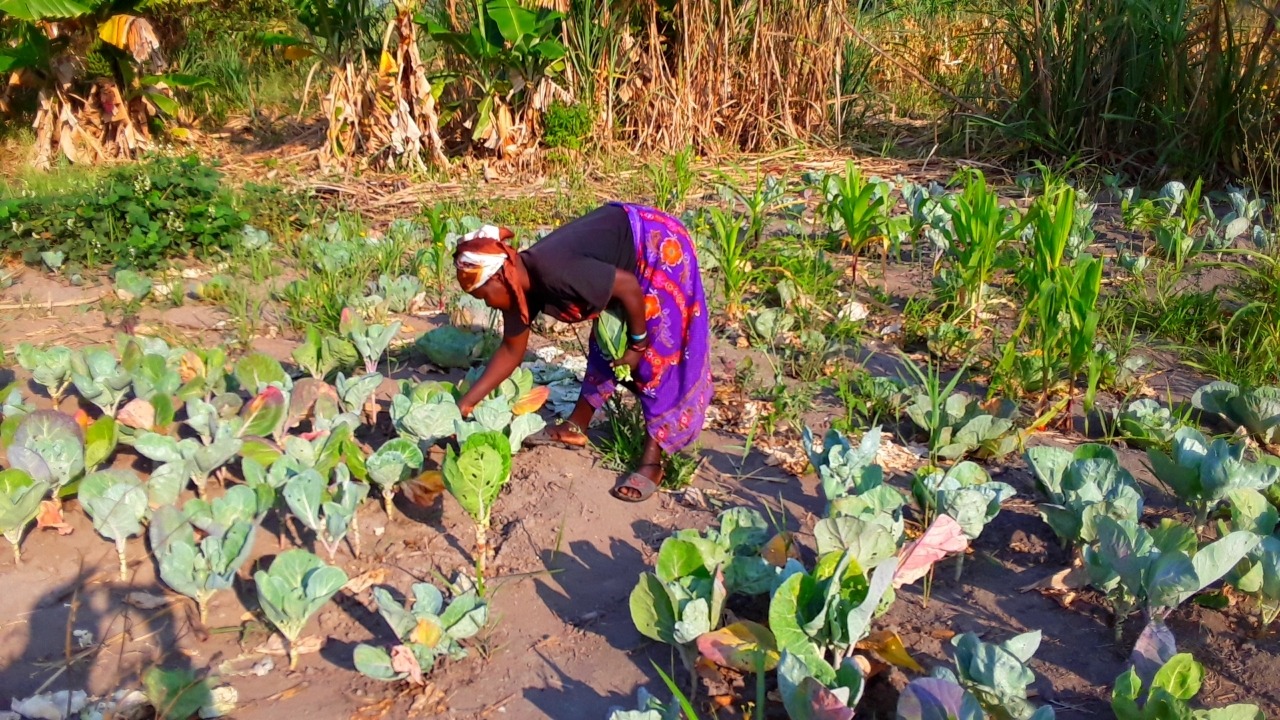 Agricultora_Agachada_AzadaVerde Tu ayuda llega