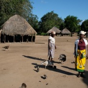 Vacunas