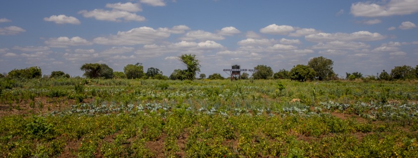 tierra