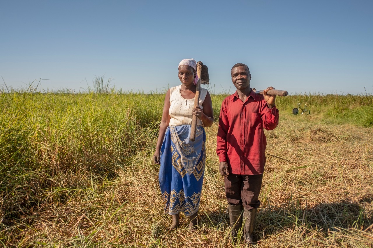 mujer-hombre-campo-agricultura-azada-verde mujer-hombre-campo-agricultura-azada-verde