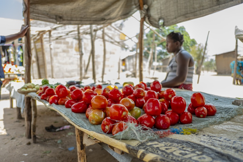 producción mundial de alimentos