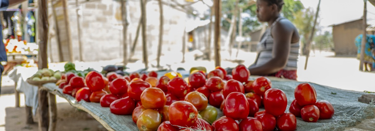 producción mundial de alimentos