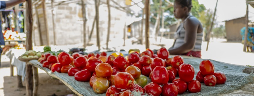 producción mundial de alimentos